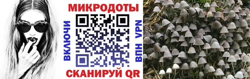Купить закладки Ленск Псилоцибиновые грибы Magic Shrooms